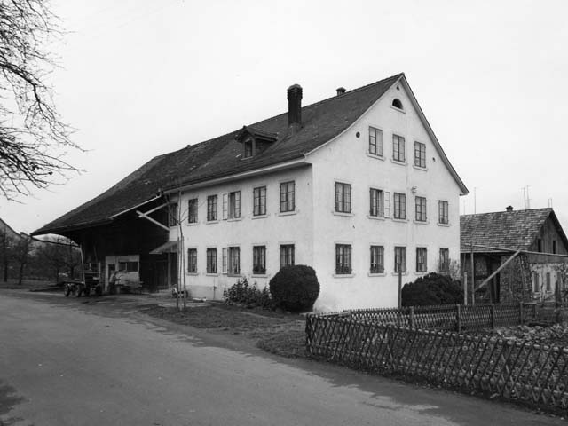 Rautistrasse 150, Bauernhaus mit Seidenzwirnerei. (1965, Foto BAZ)